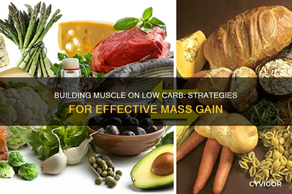 how to gain muscle mass on low carb diet