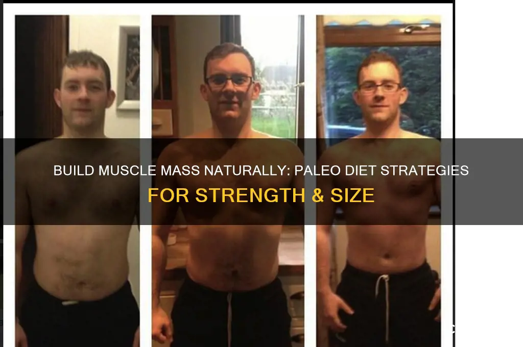 how to gain muscle mass paleo diet