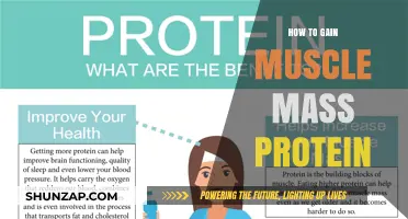 Maximize Muscle Growth: Essential Protein Strategies for Mass Building