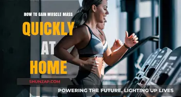 Effective Home Workouts for Rapid Muscle Mass Gain