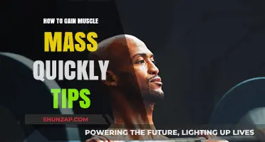 Effective Strategies for Rapid Muscle Mass Gain: Proven Tips