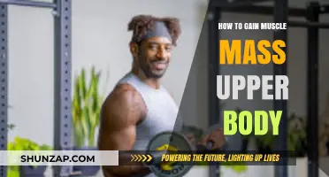 Effective Upper Body Muscle Building: Tips for Strength and Size
