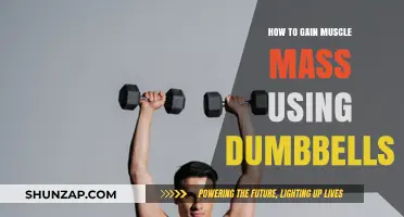 Effective Dumbbell Workouts for Building Muscle Mass at Home