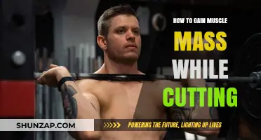 Cutting and Bulking: Strategies to Build Muscle While Losing Fat
