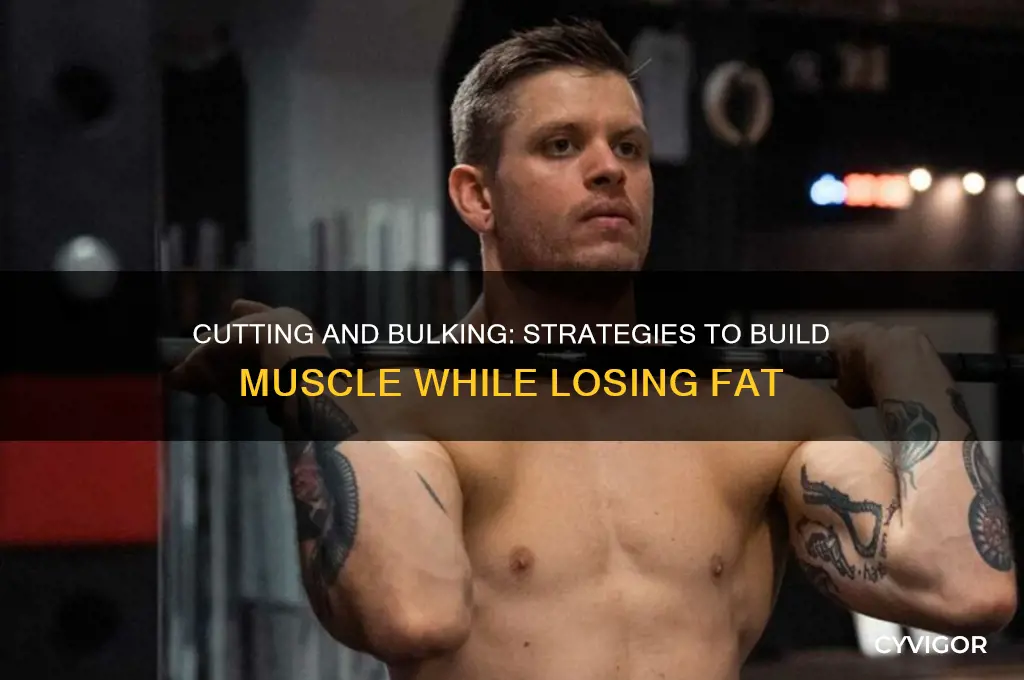how to gain muscle mass while cutting