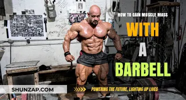 Effective Barbell Strategies for Building Muscle Mass Quickly