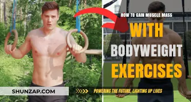Build Muscle Mass Effectively Using Only Bodyweight Exercises