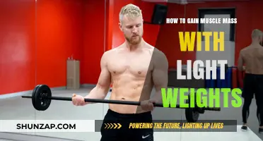 Build Muscle Mass Effectively Using Light Weights and Proper Technique