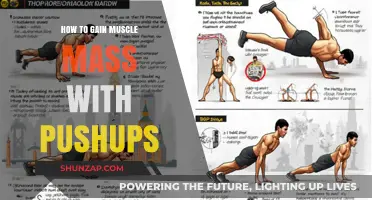 Build Muscle Mass Effectively: Master Pushup Techniques for Strength Gains