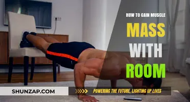 Maximize Muscle Growth: Effective Home Workouts for Building Mass