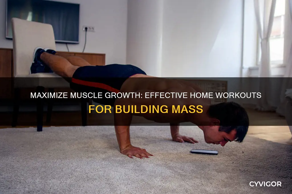 how to gain muscle mass with room