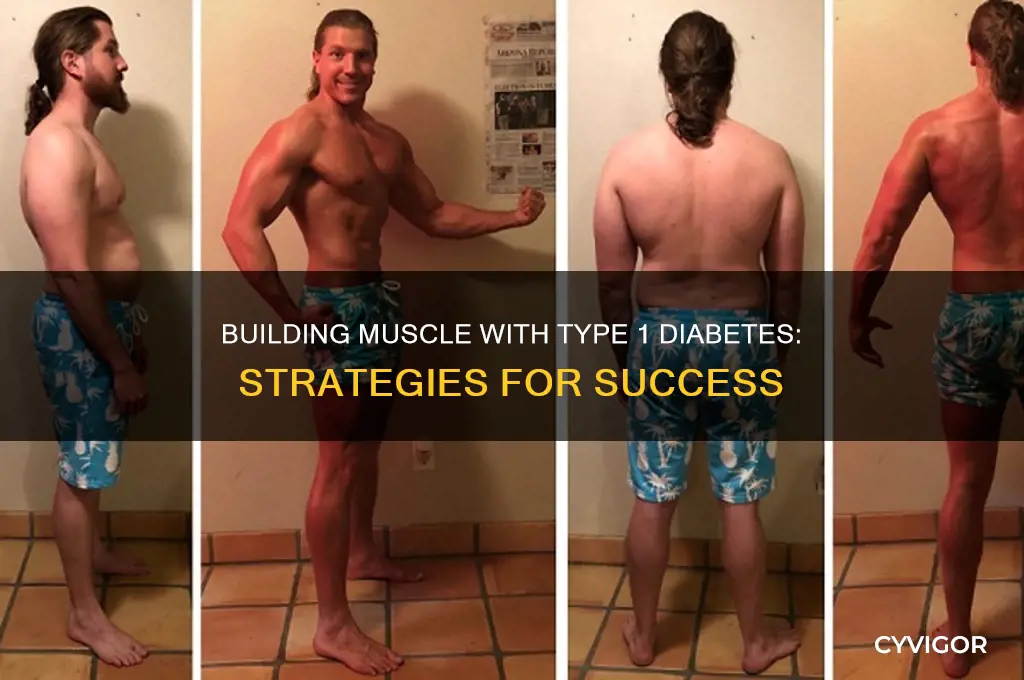 how to gain muscle mass with type 1 diabetes