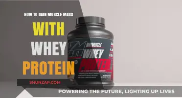 Maximize Muscle Growth: Effective Whey Protein Strategies for Mass Gain