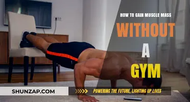 Build Muscle at Home: Effective Strategies Without Gym Equipment