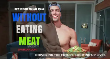 Plant-Powered Muscle Gain: Building Mass Without Meat