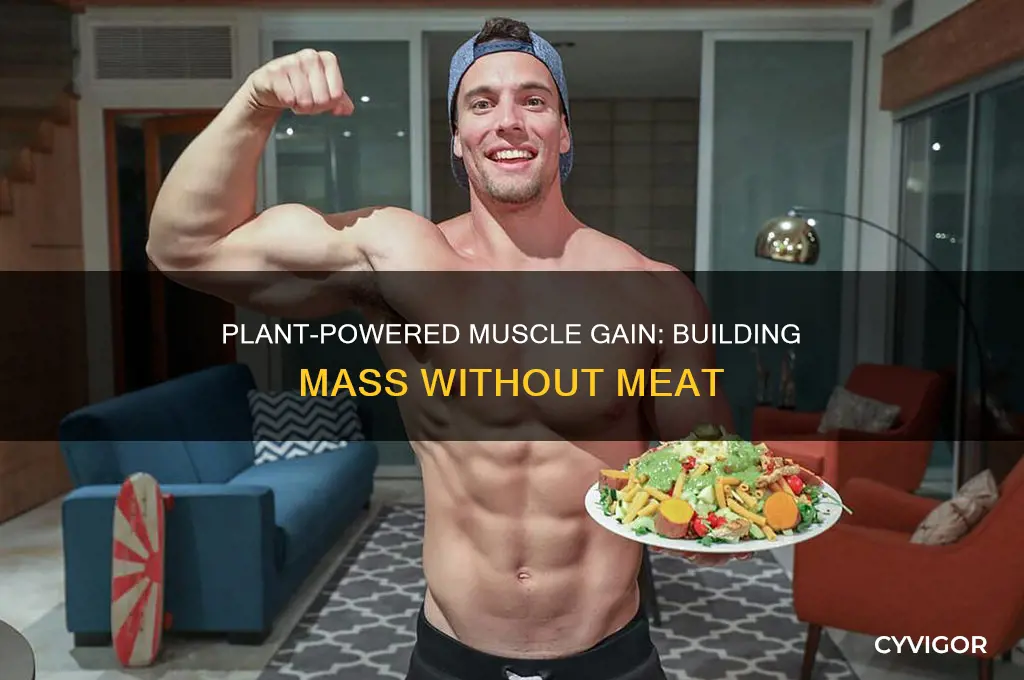 how to gain muscle mass without eating meat