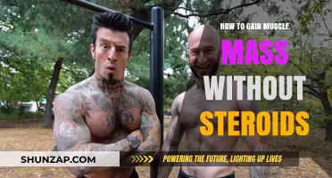 Natural Muscle Building: Proven Strategies for Safe Mass Gain
