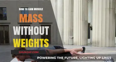 Build Muscle Mass Effectively Using Bodyweight Exercises and Nutrition