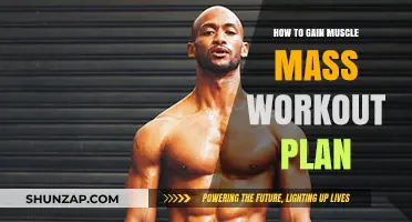 Effective Muscle Mass Workout Plan for Strength and Size Gains