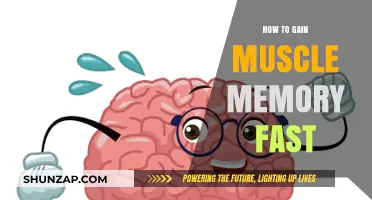 Accelerate Muscle Memory: Proven Techniques for Rapid Skill Mastery