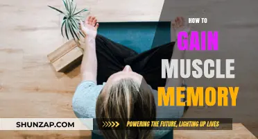 Mastering Muscle Memory: Proven Techniques for Lasting Physical Skills
