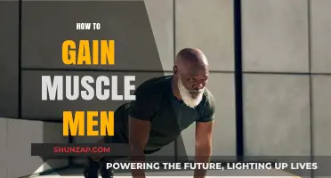 Effective Muscle Building Strategies for Men: Nutrition, Workouts, and Recovery Tips