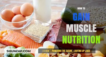 Fuel Your Gains: Essential Nutrition Tips for Building Muscle Mass