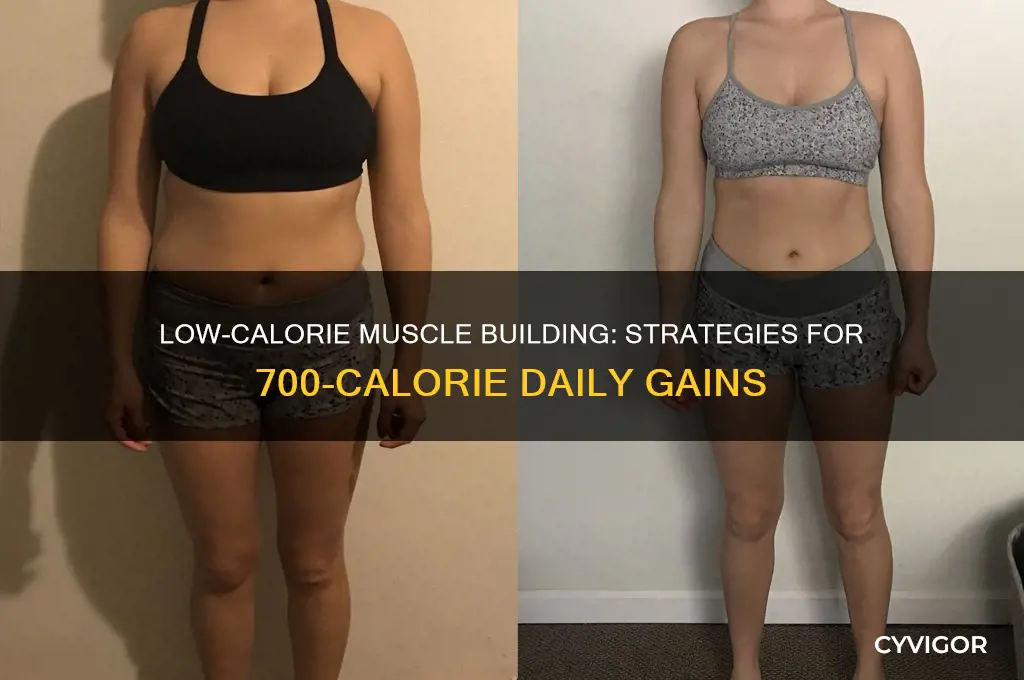 how to gain muscle on 700 calories a day