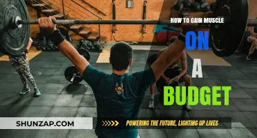 Affordable Muscle Building: Smart Strategies for Budget-Friendly Gains