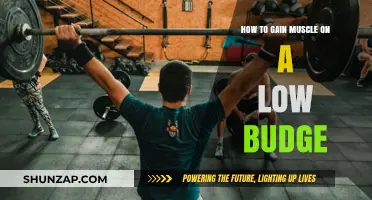 Budget-Friendly Muscle Building: Affordable Tips for Effective Gains