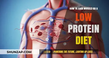 Building Muscle with Minimal Protein: Strategies for a Low-Protein Diet