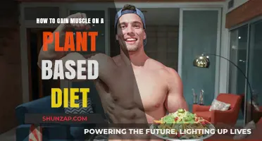 Plant-Based Muscle Building: Strategies for Strength and Growth