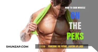Effective Strategies to Build and Strengthen Your Peks Muscles
