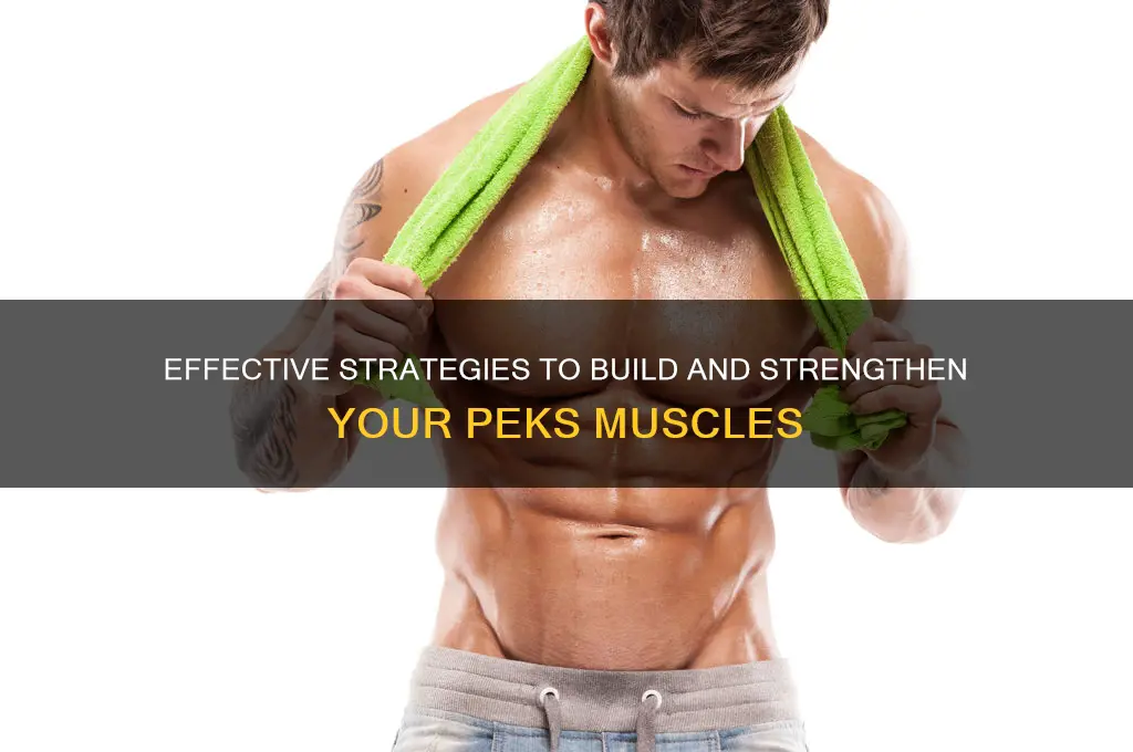 how to gain muscle on the peks