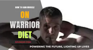 Warrior Diet Muscle Gain: Strategies for Strength and Size