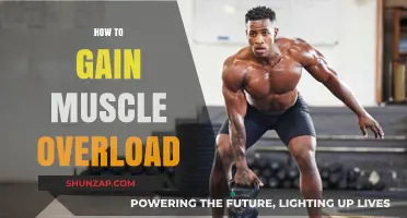 Maximize Muscle Growth: Proven Strategies for Effective Overload Training
