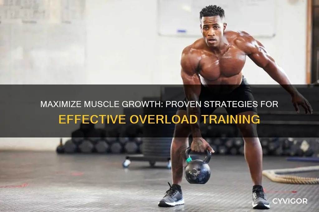 how to gain muscle overload