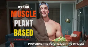 Plant-Based Muscle Building: Strategies for Strength and Growth