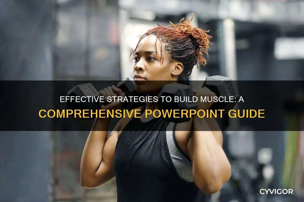 how to gain muscle powerpoint