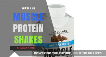 Effective Muscle Building: Protein Shakes for Optimal Growth and Recovery