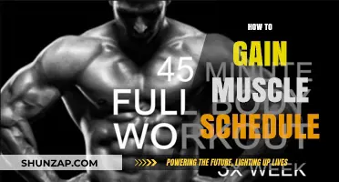 Effective Muscle Building Schedule: Tips for Consistent Growth and Strength