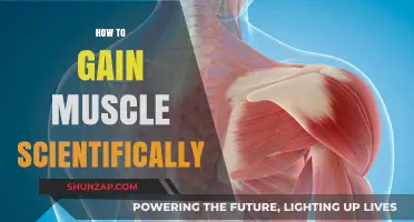 Scientifically Proven Strategies for Effective Muscle Gain and Growth