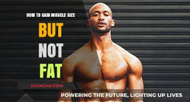 Build Muscle, Avoid Fat: Effective Strategies for Lean Gains