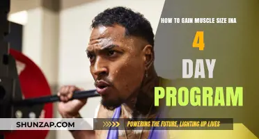 Maximize Muscle Growth: Effective 4-Day Training Program Guide