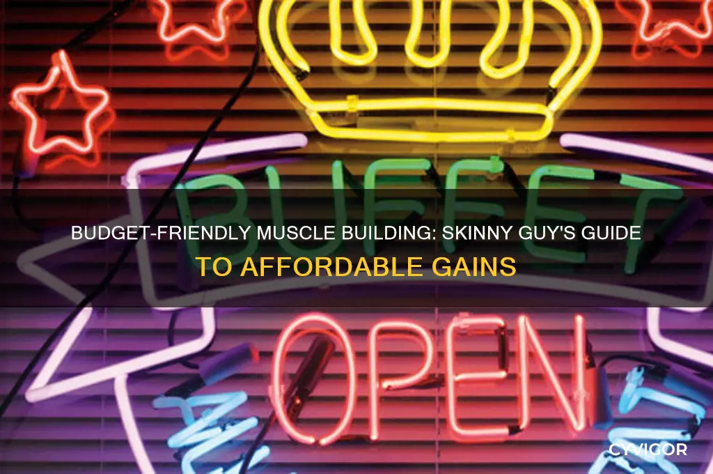 how to gain muscle skinny guy cheap
