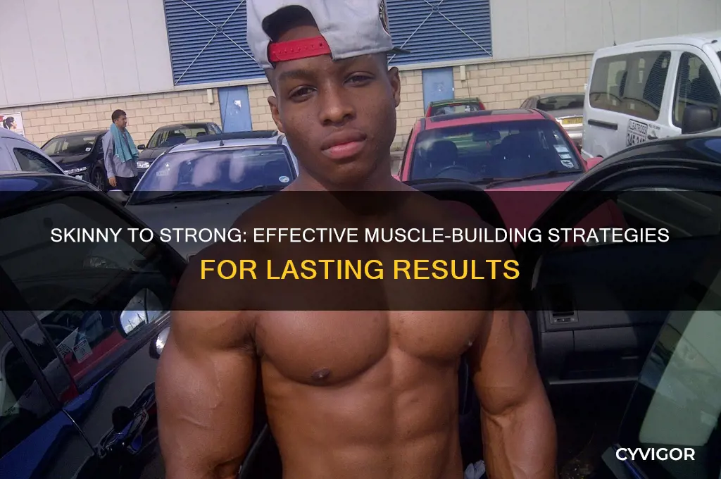 how to gain muscle skinyn