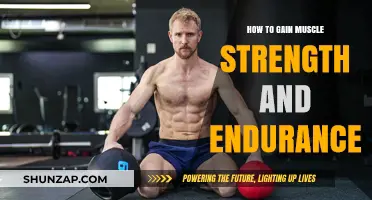 Build Strength and Endurance: Proven Strategies for Muscle Growth