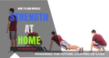 Effective Home Workouts to Build Muscle Strength Naturally