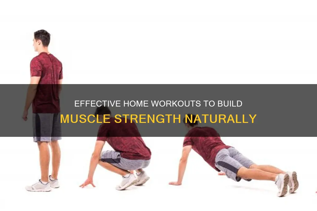 how to gain muscle strength at home