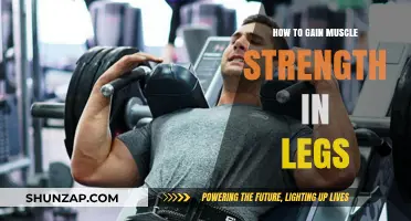 Build Stronger Legs: Effective Strategies for Muscle Strength and Power